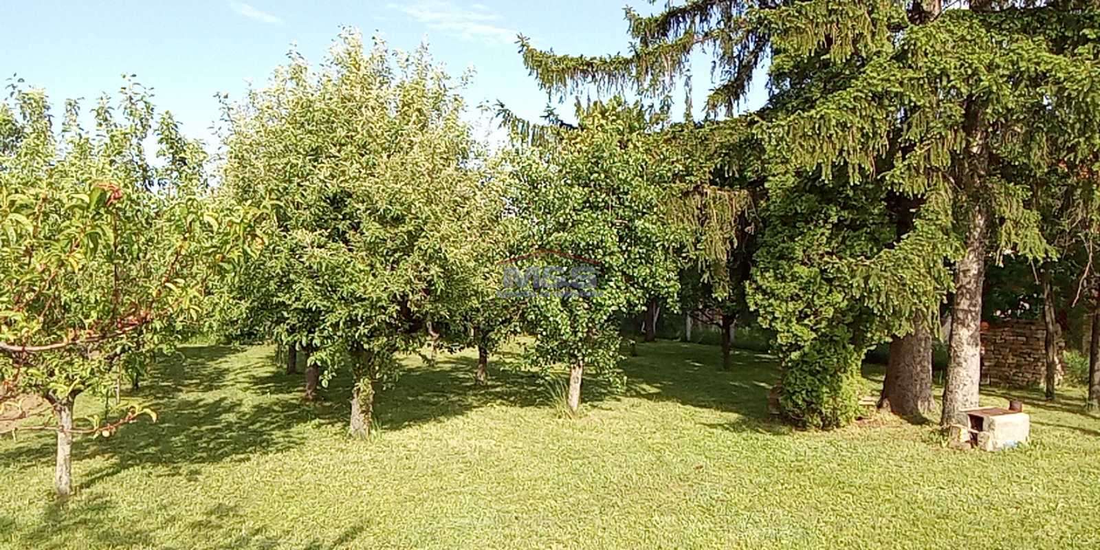 plac   Irig  Irig okolina    Banja Vrdnik
